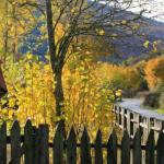 Los itinerarios de que recorren este parque se encuentran perfectamente señalizados.