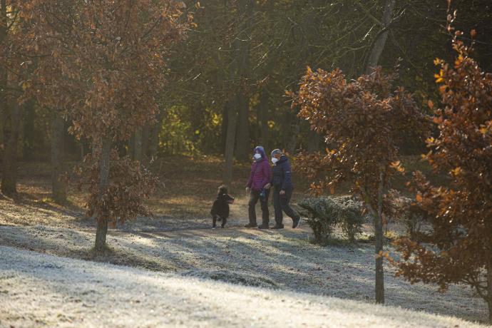 Una pareja toma el sol en un parque de Vitoria la mañana de este viernes.