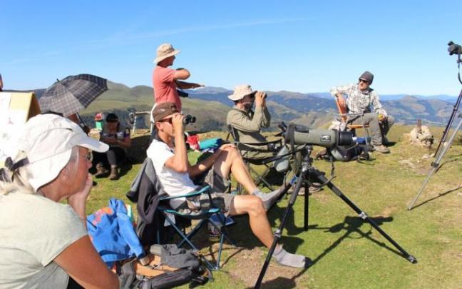 La observación de las aves es una actividad que cada vez cuenta con más adeptos dispuestos a desplazarse a cualquier rincón para localizar aves que no hayan visto todavía.