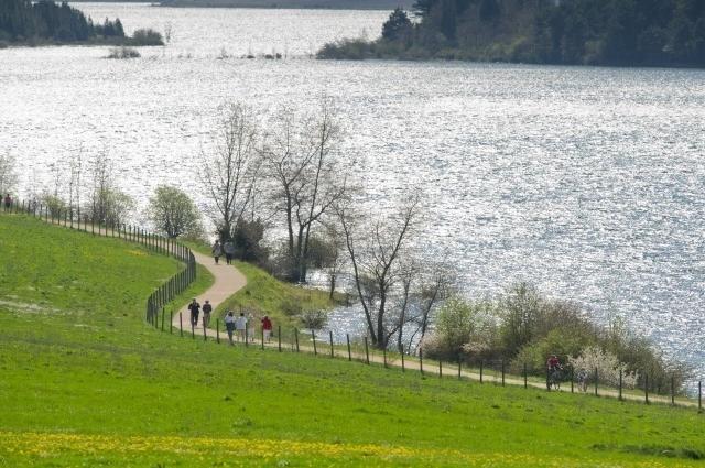 El pantano alavés de Ullibarri, el mayor de Euskadi.