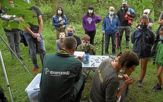 Varias personas observan como Ariñe Buspudía, anilladora voluntaria en Aranzadi, sopla para ver el sexo del pájaro. Varias personas observan como Ariñe Buspudía, anilladora voluntaria en Aranzadi, sopla para ver el sexo del pájaro.