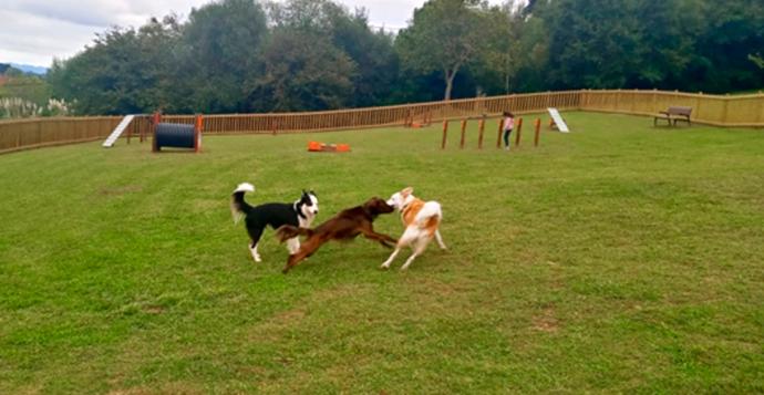 La nueva área para perros se ubica en la parte trasera del polideportivo de Iparralde.