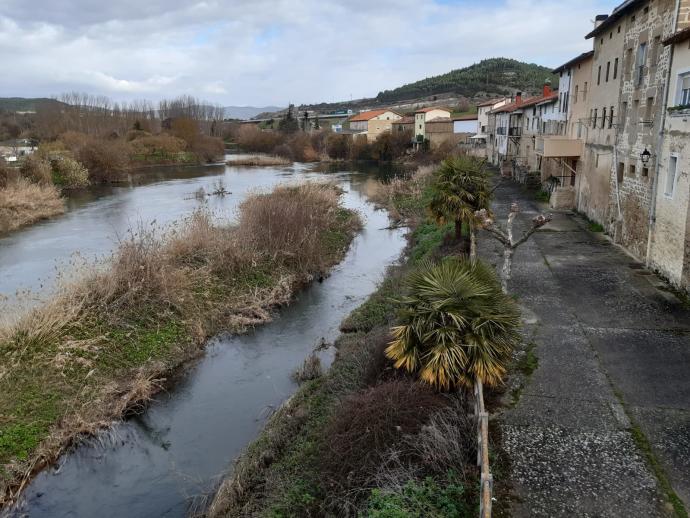 Paseo de Armiñón.