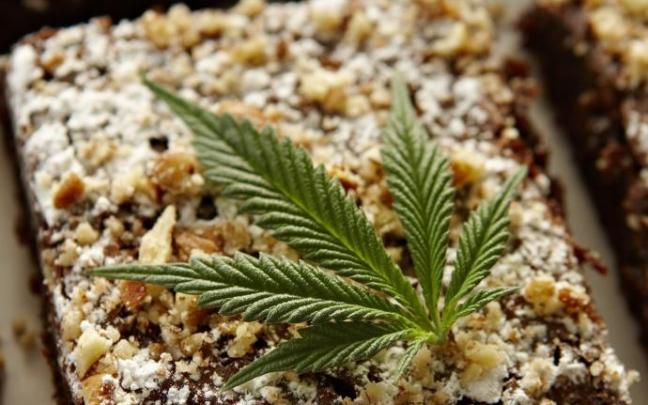 Podemos pide legalizar el consumo de cannabis en espacios habilitados