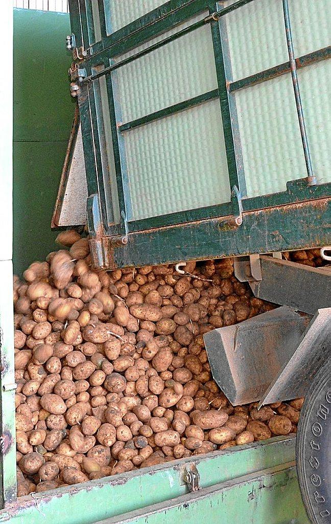 Un camión con patatas. Foto: DNA