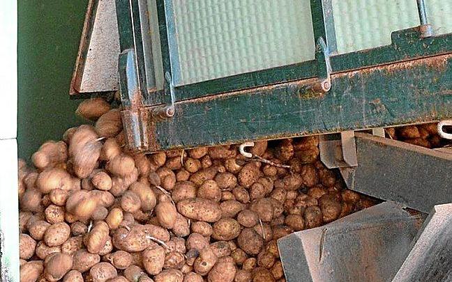 Un camión con patatas. Foto: DNA