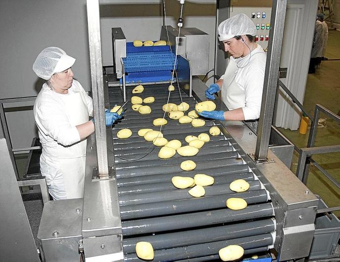 Dos trabajadoras de la cooperativa Paturpat seleccionan producto. Foto: Josu Chavarri