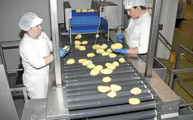 Dos trabajadoras de la cooperativa Paturpat seleccionan producto. Foto: Josu Chavarri Dos trabajadoras de la cooperativa Paturpat seleccionan producto. Foto: Josu Chavarri