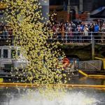 Este fin de semana, la sexta edición del WOP Challenge Bilbao-Bizkaia y la XII Estropatada.