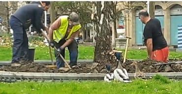 Operarios trabajan en el estanque.