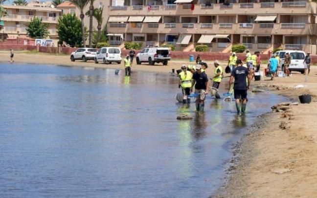 Operarios recogen peces muertos en el Mar Menor. Operarios recogen peces muertos en el Mar Menor.