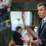 El Presidente del Gobierno, Pedro Sánchez