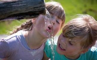 El agua es un elemento básico para la vida, pero puede que no sea bueno beberla más allá de lo razonable.