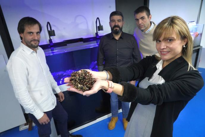 Zarraga, Arana, Estébanez y Blázquez presentan los percebes.