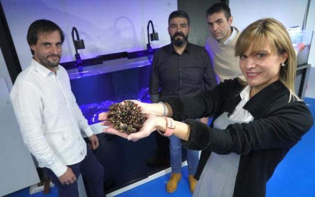 Zarraga, Arana, Estébanez y Blázquez presentan los percebes.