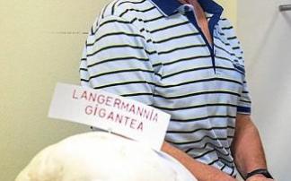 Pedro Manrike, barrenkale elkartea