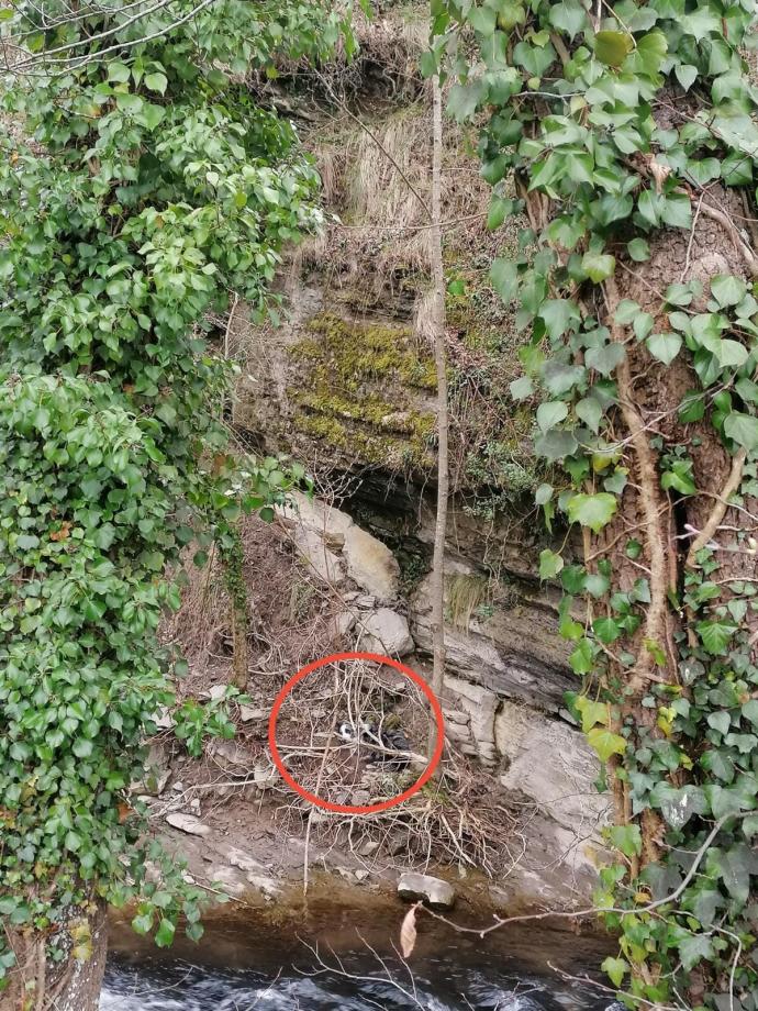 Lugar donde se encontraba Pak