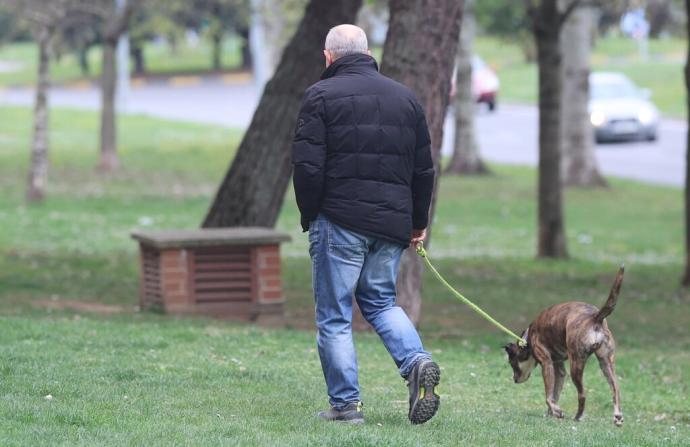 Paseando al perro por una zona ajardinada de Pamplona.