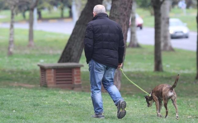 Paseando al perro por una zona ajardinada de Pamplona. Paseando al perro por una zona ajardinada de Pamplona.