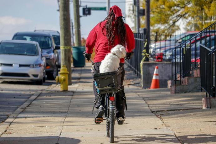 Llevar a tu perro o gato en la bicicleta al veterinario en lugar de en cochce es un una buena manera de reducir la huela ecológica del cuidado de las mascotas.