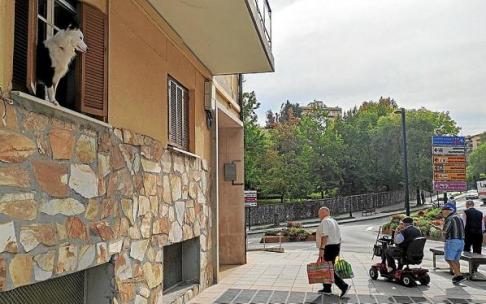 ‘Argi’ sigue los movimientos de los vecinos desde su privilegiada atalaya. ‘Argi’ sigue los movimientos de los vecinos desde su privilegiada atalaya.