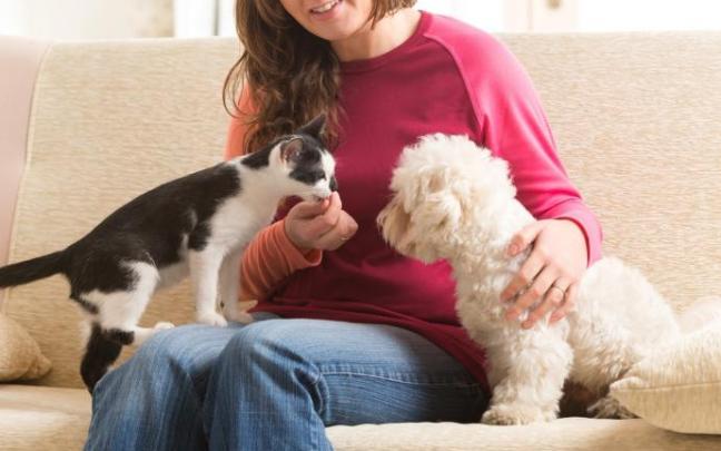 Una mujer acaricia a un perro y a un gato. Una mujer acaricia a un perro y a un gato.