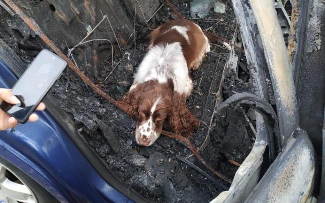 La unidad canina, en plena faena. La unidad canina, en plena faena.