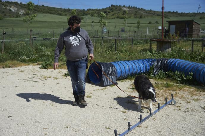 Iosu Méndez trabaja con Ur, un border collie de 9 años campeón de España de detección deportiva en 2017 y 2018.