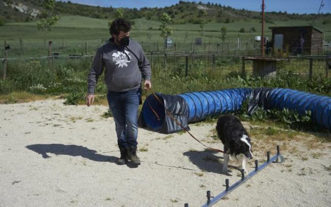 Iosu Méndez trabaja con Ur, un border collie de 9 años campeón de España de detección deportiva en 2017 y 2018.