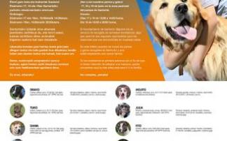 Cartel de la campaña.