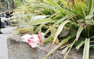 Un pañuelo ensangrentado en el lugar de los hechos