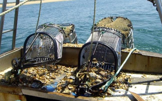 Una barco descarga capturas de pescado. Una barco descarga capturas de pescado.