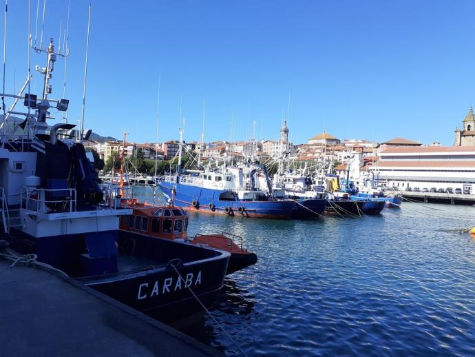 Barcos pesqueros en el puerto de Bermeo