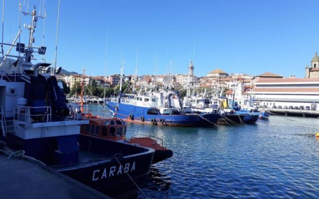 Barcos pesqueros en el puerto de Bermeo