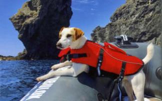'Pipper' navegando por el Cabo de Gata. 'Pipper' navegando por el Cabo de Gata.