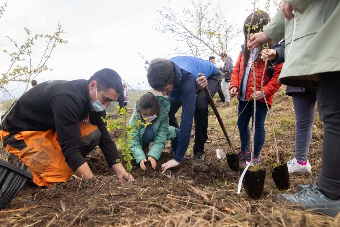 Varios menores plantan un árbol en Busturia.