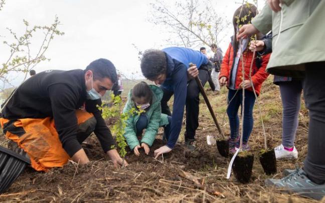 Varios menores plantan un árbol en Busturia. Varios menores plantan un árbol en Busturia.