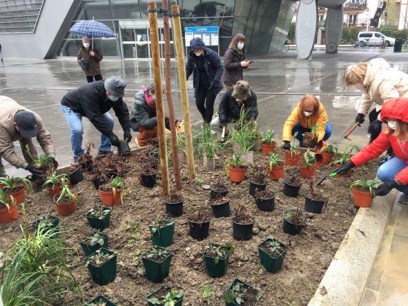 Momento de la plantación de este lunes.