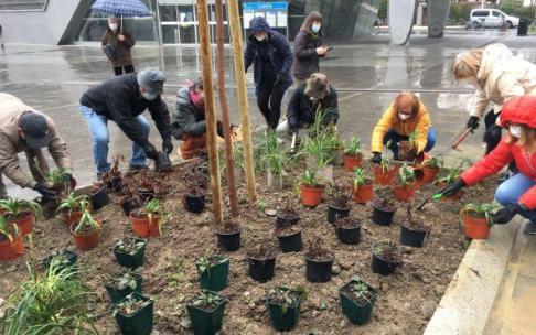 Momento de la plantación de este lunes.