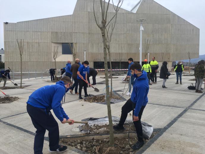 Reciente plantación de árboles en el exterior del nuevo polideportivo de Altza.