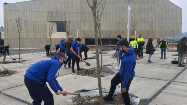 Reciente plantación de árboles en el exterior del nuevo polideportivo de Altza.