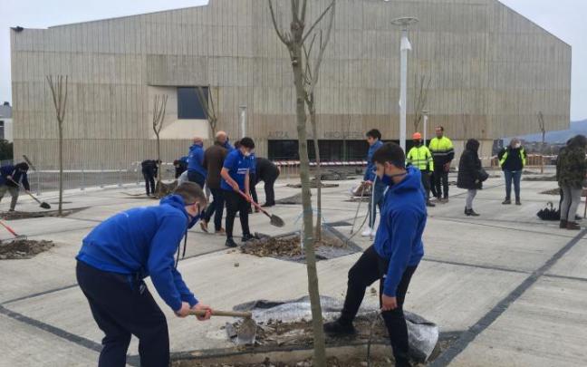 Reciente plantación de árboles en el exterior del nuevo polideportivo de Altza.