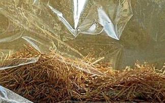 Plasma frío para mantener las barricas de roble