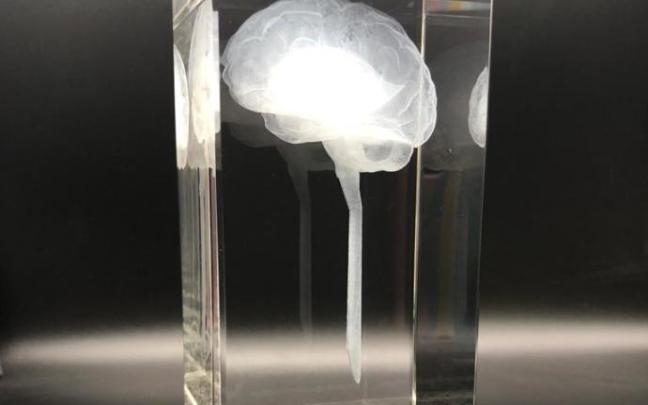La Sociedad Española de Neurología reconoce su labor científica y su dedicación a la investigación de las enfermedades neurológicas. La Sociedad Española de Neurología reconoce su labor científica y su dedicación a la investigación de las enfermedades neurológicas.
