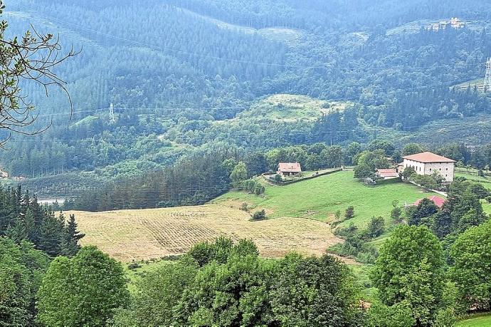 El terreno en el que se construirá el parque solar. Foto: Urretxuko Udala