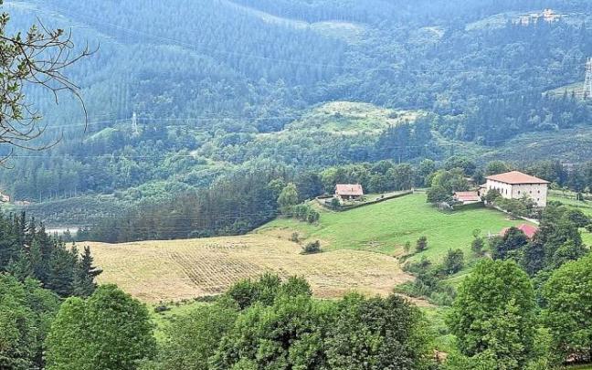 El terreno en el que se construirá el parque solar. Foto: Urretxuko Udala