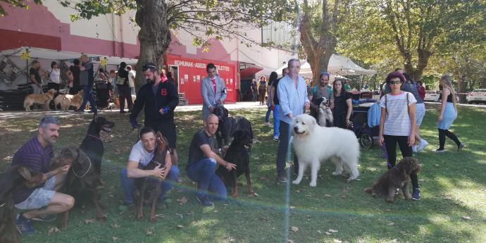 La cita canina muskiztarra se celebrará este año sin público debido a la pandemia. Foto: E. Zunzunegi