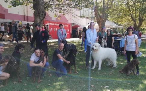 La cita canina muskiztarra se celebrará este año sin público debido a la pandemia. Foto: E. Zunzunegi La cita canina muskiztarra se celebrará este año sin público debido a la pandemia. Foto: E. Zunzunegi