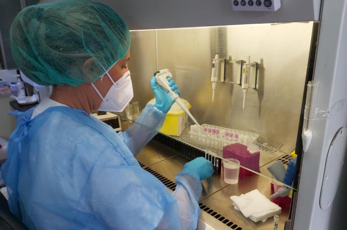 Una sanitaria procesa los resultados de una prueba PCR