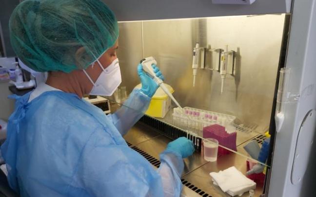 Una sanitaria procesa los resultados de una prueba PCR
